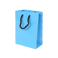 BOLSA PEQUEÑA